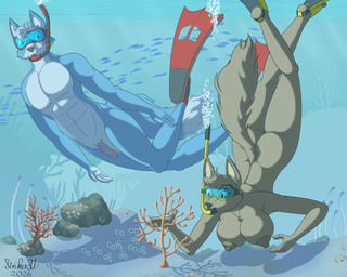 5_fingers aged_up anthro balls black_nose blue_body blue_fur breasts butt diving_mask duo female fingers flippers fur genitals hair humanoid_hands male mask multicolored_body multicolored_fur navel nipples nude nude_anthro nude_female nude_male orange_body orange_fur penis skinny_dipping snorkel swimming tail two_tone_body two_tone_fur underwater water white_body white_fur white_hair strikersa dreamworks nintendo star_fox the_bad_guys ellen_wolf_foxington fan_character marcus_mccloud canid canine canis fox hybrid mammal wolf 5:4 crossover