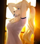 anthro black_nose blonde_hair blue_eyes breasts clothing female hair holding_hair lens_flare long_hair shirt solo t-shirt topwear touching_hair translucent translucent_clothing translucent_shirt translucent_topwear tying_hair white_clothing white_shirt white_t-shirt white_topwear yellow_body 00niine liz_(00niine) canid canine canis domestic_dog mammal 2023 hi_res signature