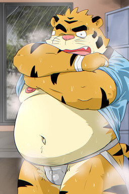 anthro belly big_belly bodily_fluids bulge clothed clothing clothing_lift jockstrap kemono male moobs musk nipples one_eye_closed overweight overweight_male pink_nose raining shirt shirt_lift solo standing sweat topwear underwear undressing shibatanukiti felid mammal pantherine tiger 2025 hi_res