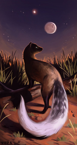 brown_body brown_fur dirt feral fur grass_field log long_tail moon night rock short_fur sky solo star tail white_tail wood alexpahomov herpestid mammal mongoose white-tailed_mongoose 2023 absurd_res digital_media_(artwork) digital_painting_(artwork) hi_res painting_(artwork)