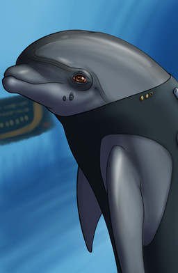 ambiguous_gender blowhole clothing cybernetics feral horizontal_pupils inside looking_at_viewer machine pupils solo underwater water badday_(artist) star_trek aquatic bottlenose_dolphin cetacean dolphin mammal oceanic_dolphin toothed_whale half-length_portrait hi_res portrait