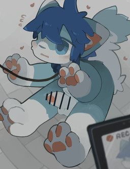 4_fingers 4_toes anthro balls blue_body blue_ears blue_eyes blue_hair blush camera chibi clothing collar embarrassed erection feet fingers fluffy foreskin genitals hair happy heart_symbol hearts_around_head humanoid_genitalia humanoid_penis leash leash_towards_viewer leashed_collar male outside pawpads paws penis recording recording_video shy solo tail toes young young_anthro young_male n6 canid canine fox mammal absurd_res censored hi_res