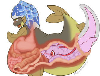 anal anal_vore anthro anthro_pred anthro_prey blue_clothing blue_hat blue_headwear brown_body brown_eyes clothing duo female guts hat headgear headwear intestines large_intestine male organs pink_arms pink_body pink_tail red_eyes simple_background small_intestines stomach tail vore white_background yellow_eyes nice-helium amphibian aquatic axolotl fish mole_salamander salamander 2016 watermark