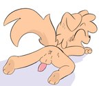 anal animal_genitalia animal_penis anthro anus balls butt canine_genitalia canine_penis collar erection genitals male penis presenting presenting_anus presenting_hindquarters sex solo young mrdreams controlcoco_(character) canid canine canis domestic_dog mammal