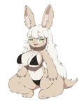 3_toes 4_fingers anthro bangs bent_legs big_breasts bikini biped black_bikini black_clothing black_swimwear blush blush_lines breasts brown_body brown_ears brown_fur brown_tail buckteeth clothing crouching eyebrow_through_hair eyebrows eyelashes feet female fingers fur glistening glistening_eyes green_eyes hair horizontal_pupils kemono legwear long_hair looking_aside multicolored_body multicolored_fur navel open_mouth open_smile pink_mouth pink_tongue pupils smile solo swimwear tail teeth thigh_highs three-quarter_view toes tongue translucent translucent_hair triangle_bikini two-piece_swimsuit two_tone_body two_tone_fur whisker_spots whiskers white_body white_fur white_hair white_inner_ear white_sclera wide_hips abyss_creature_(artist) made_in_abyss nanachi lagomorph leporid mammal narehate rabbit 2025 absurd_res colored digital_media_(artwork) full-length_portrait hi_res portrait shaded