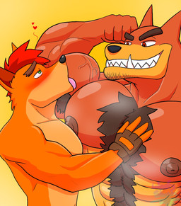abs anthro anthro_on_anthro armpit_hair barazoku beard biceps blush body_hair brown_hair chest_hair clothing duo eyebrows facial_hair fangs fingerless_gloves fist flexing flexing_bicep fur gloves gloves_only green_eyes grin hair hairy handwear handwear_only happy_trail heart_symbol larger_male licking licking_bicep male male/male manly mostly_nude muscular muscular_anthro muscular_arms muscular_male musk nipples orange_body orange_fur pecs red_eyes red_hair sharp_teeth size_difference smaller_male smile stubble tan_body tan_fur teeth thick_eyebrows tongue tongue_out underbite vein veiny_muscles woofyslush activision crash_bandicoot_(series) crash_bandicoot tiny_tiger bandicoot dasyuromorph mammal marsupial recently_extinct_species thylacine 2025 hi_res