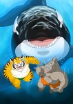 anthro belly biped black_body clothing feral group humanoid_hands kemono male moobs scared swimwear underwater water white_body raichoclub canid canine canis cetacean dolphin felid mammal marine oceanic_dolphin orca pantherine tiger toothed_whale wolf 2014 hi_res