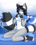 anthro biped black_body black_fur black_hair black_tail blue_clothing blue_eyes blue_nipples blue_nose blue_shirt blue_topwear blush bottomless breasts clothed clothing clothing_lift female flashing front_view fur grey_body grey_fur hair holding_clothing holding_object holding_shirt holding_topwear inner_ear_fluff kneeling markings multicolored_body multicolored_fur multicolored_tail navel nipples open_mouth ring_(marking) ringed_tail shirt shirt_lift simple_background small_breasts solo striped_markings striped_tail stripes tail tail_markings topwear tuft two_tone_tail white_body white_fur white_tail dragontheshadows mammal procyonid raccoon erika_(disambiguation)