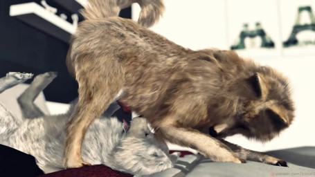 animal_genitalia animal_penis bed black_nose brown_body brown_fur canine_genitalia canine_penis deep_throat detailed_fur duo erection face_fucking fellatio female female_penetrated feral feral_on_feral feral_penetrated feral_penetrating feral_penetrating_feral forced forced_oral fur furniture genitals inside irrumatio male male/female male_penetrating male_penetrating_female on_bed open_mouth oral oral_only oral_penetration paws penetration penile penile_penetration penis penis_in_mouth pillow raining realistic_feral sex teeth tongue tongue_out white_body white_fur window young young_feral trioami260 sky_(trioami260) zeus_(trioami260) canid canine canis mammal wolf 16:9 3d_(artwork) 3d_animation animated detailed digital_media_(artwork) hi_res long_playtime sound video widescreen