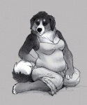 2011 anthro bernese_mountain_dog biped canid canine canis clothed clothing domestic_dog female grey_background greyscale kneeling louvelex mammal mature_anthro mature_female molosser monochrome mountain_dog neck_tuft overweight overweight_anthro overweight_female simple_background sitting slightly_chubby solo swiss_mountain_dog tuft wariza