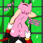 anthro bodily_fluids cum cum_inside dialogue duo female genital_fluids male male/female text vaginal soulyagami64 sega sonic_the_hedgehog_(series) amy_rose shadow_the_hedgehog eulipotyphlan hedgehog mammal 1:1 english_text hi_res