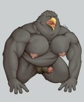 anthro beak biceps big_biceps big_muscles big_pecs black_body black_feathers bodily_fluids brown_body brown_feathers dripping erection eyebrows eyes_closed feathers genital_fluids genitals gentleman huge_muscles huge_pecs humanoid_genitalia humanoid_penis leaking_precum male moobs musclegut muscular muscular_anthro muscular_arms muscular_male nipples nude obese obese_male open_beak open_mouth overweight overweight_male pecs penis pink_nipples precum precum_drip precum_string saliva saliva_drip saliva_on_tongue screaming slightly_chubby slightly_chubby_male solo triceps yellow_beak chococlass roey_(chococlass) accipitrid accipitriform avian bird eagle golden_eagle true_eagle hi_res