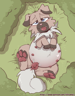 6_nipples animal_genitalia animal_vulva anus aroused bedroom_eyes belly big_belly black_text blue_eyes blush bodily_fluids canine_genitalia canine_vulva cheek_tuft facial_tuft female female_feral feral fur fur_tuft genital_fluids genitals grass half-closed_eyes iris lying multi_nipple multicolored_ears narrowed_eyes nipples on_back on_grass on_ground outside pawpads pink_nose plant pregnant pregnant_female pregnant_feral pupils seductive solo text tongue tongue_out tuft two_tone_ears underage_pregnancy vaginal_fluids vulva young young_female young_feral fuf nintendo pokemon canid canine generation_7_pokemon mammal pokemon_(species) rockruff hi_res url