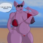 anthro areola beach belly big_areola big_belly big_breasts big_nipples bikini breasts clothed clothing crossgender ear_piercing ear_ring eyelashes eyewear eyewear_on_head female genitals hairless huge_breasts ineffective_swimwear looking_at_viewer navel nipples outside overweight piercing purple_body pussy raised_bikini raised_clothing raised_swimwear ring_piercing sand sea seaside simple_background sky slightly_chubby slightly_chubby_female smile solo speech_bubble sunglasses sunglasses_on_head swimwear text thick_thighs two-piece_swimsuit water klr-rio dragon_ball dragon_ball_super champa domestic_cat felid feline felis hairless_cat mammal sphynx_(cat) digital_media_(artwork) hi_res