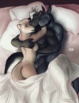 anthro bed biceps bisexual black_body breasts female furniture grey_body group horn male male/female male/male muscular muscular_anthro muscular_male nipples nude pecs smile tail trio bgn mythology dante_(bgn) jesse_bolanos julia_bennet domestic_ferret dragon mammal mephitid mustelid musteline mythological_creature mythological_scalie scalie skunk true_musteline weasel hi_res