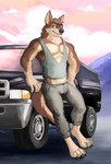 anthro bottomwear brown_body brown_fur claws clothed clothing feet finger_claws fur green_eyes leaning_on_object male muscular muscular_anthro muscular_male pants shirt sky smile smiling_at_viewer smirk smirking_at_viewer solo tank_top toe_claws topwear truck vehicle weirdmarks yokai_the_wolf canid canine canis mammal wolf hi_res