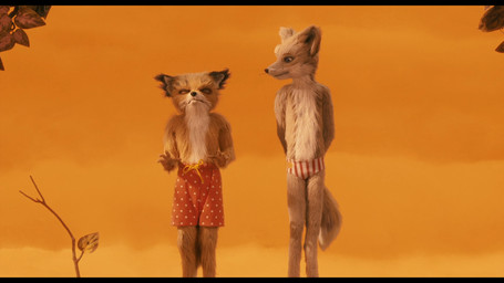 annoyed anthro autumn black_bars black_nose blue_eyes bottomwear boxers_(clothing) claws clothed clothing countershading crafts_(artwork) dipstick_tail duo eyes_closed fur leaf leucistic male markings neutral_expression on_model orange_background orange_body orange_fur orange_sky oversized_clothing painted_background plant rope screencap shorts simple_background size_difference sky slim speedo speedo_only sunset swimwear tail tail_markings tan_body tan_fur topless underwear white_body white_fur young young_male wes_anderson fantastic_mr._fox ash_fox_(fantastic_mr._fox) kristofferson_silverfox canid canine fox mammal marlfox red_fox true_fox 16:9 2009 grandfathered_content hi_res letterbox official_art orange_theme traditional_media_(artwork) widescreen