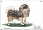 ambiguous_gender beak feral fur open_mouth quadruped simple_background solo standing text what white_background why wide_eyed pechschwinge avian bird canid canine canis chihuahua domestic_dog mammal potoo toy_dog digital_media_(artwork) english_text