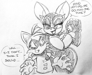 anthro big_breasts breasts duo female male male/female size_difference smaller_male text wide_hips glassfish dc_comics sega sonic_the_hedgehog_(series) catwoman miles_prower robin_(dc) rouge_the_bat bat canid canine fox mammal english_text monochrome traditional_media_(artwork)