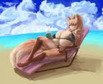 anthro beach big_breasts bikini book breasts clothed clothing detailed_background eyewear female glasses huge_breasts hyper hyper_breasts nipple_outline outside seaside sky solo sunbathing swimwear two-piece_swimsuit water wide_hips sanny loyse canid canine mammal