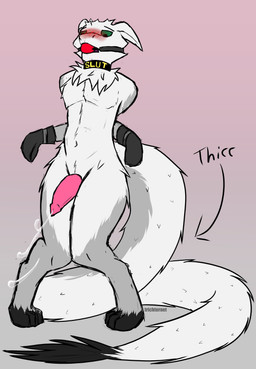 ambiguous_gender anthro ball_gag bdsm bent_legs big_penis blush blush_lines bondage bound collar collar_only ejaculation femboy fluffy fluffy_thighs gag gagged genitals hands-free legs_together long_tail male mitts neck_tuft nude penis pink_penis restrain_hand solo tail thick_tail thick_thighs tomboy tuft trichternet mythology wit_(trichternet) dragon hybrid mythological_creature mythological_scalie scalie absurd_res hi_res