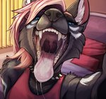anthro bed black_body black_collar black_fur blue_eyes bodily_fluids cheek_tuft clothed clothing collar drooling facial_tuft female front_view fur furniture glistening glistening_eyes hair inside looking_at_viewer mouth_shot narrowed_eyes open_mouth pink_hair pink_tongue saliva saliva_string solo spiked_collar spikes tongue tuft uvula acidic canid canine mammal