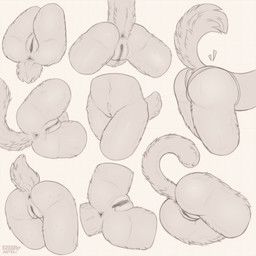 anthro anus bodily_fluids butt clothing dripping_vulva female fluffy fluffy_legs fluffy_tail front_view fur genital_fluids genitals long_tail nude panties presenting presenting_hindquarters pubes rear_view short_tail side_view simple_background solo spread_legs spreading sweat sweatdrop tail tuft underwear vaginal_fluids vulva white_body rhaelrhaelrasputin 1:1 absurd_res hi_res sketch sketch_page