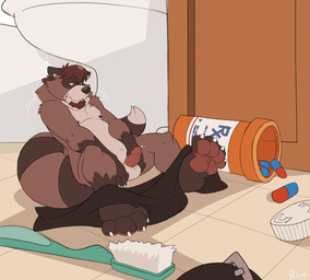 after_transformation anthro balls bathroom beard bottomwear bottomwear_down clothed clothing drugs erection facial_hair facial_markings feet fluffy fluffy_tail fur genitals goatee grey_body grey_fur head_markings hindpaw human_to_anthro humanoid_genitalia humanoid_penis male markings mask_(marking) micro obese obese_anthro obese_male overweight overweight_anthro overweight_male pants pants_down partially_clothed pawpads paws penis pills shrinking size_transformation solo species_transformation tail transformation kuma chainscoyote mammal procyonid raccoon