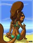 back-tie_bikini back-tie_clothing back-tie_swimwear beach bikini butt clothing female seaside solo swimwear two-piece_swimsuit hentai_boy_(artist) hanna-barbera secret_squirrel_show penny_squirrel secret_squirrel mammal rodent sciurid