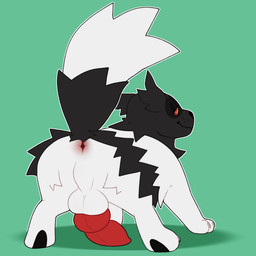alternate_color animal_genitalia animal_penis anus backsack balls big_penis butt canine_genitalia canine_penis feral fur genitals green_background half-closed_eyes knot looking_back male narrowed_eyes penis perineum presenting presenting_hindquarters raised_tail red_eyes red_penis simple_background smile solo tail white_body white_fur pokemania nintendo pokemon pokie_(pokemania) generation_3_pokemon mammal pokemon_(species) zigzagoon 1:1 2019