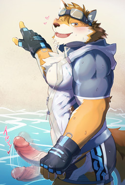 afterimage anthro beach blush bottomwear clothing countershading erection fingerless_gloves fur genitals gesture gloves hand_gesture handwear inviting looking_at_viewer male multicolored_body multicolored_fur muscular muscular_anthro muscular_male one_eye_closed penis pointing propositioning seaside shorts swimwear water wink 7575el lifewonders live_a_hero barrel_(live_a_hero) canid canine canis mammal wolf hi_res