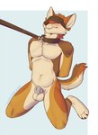 anthro biped blindfold blush brown_body brown_fur brown_outline chastity_cage chastity_cage_only chastity_device chastity_device_only collar fur hands_behind_back kneeling leash male metal_chastity_cage multicolored_body multicolored_fur navel nude orange_body orange_fur outline sheath_cage simple_background solo text white_body white_fur taintedstar sorto canid canine canis coyote mammal 2020 digital_media_(artwork) english_text hi_res signature