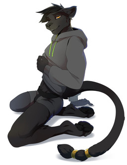 5_fingers anthro black_body black_fur black_hair clothed clothing clothing_cord drawstring eyebrows eyelashes fingers fur hair hoodie kneeling male melanistic orange_eyes smile solo topwear drmax felid mammal pantherine hi_res