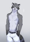 anthro belt bottomwear clothed clothing fur male simple_background solo topless topless_male ixkouu mammal procyonid raccoon 2021 digital_media_(artwork) hi_res signature