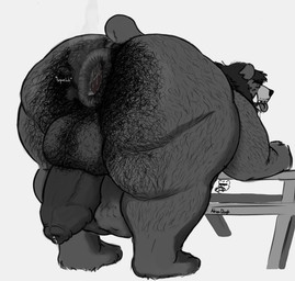 anal_fluids anthro anus backsack balls bent_over big_balls bodily_fluids body_hair body_outline butt_hair drooling duo foreskin furniture gaping gaping_anus genital_fluids genitals hairy looking_back male male/male onomatopoeia overweight overweight_male penis picnic_table precum pubes pubes_in_ass puffy_anus saliva short_tail size_difference sound_effects squelching table tail text tongue tongue_out tusks vore adrian_dough bear_(adriandough) bear hyena mammal hi_res monochrome