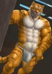 abs anthro asian_clothing bulge claws clothing detailed_bulge east_asian_clothing fundoshi fur genital_outline green_eyes inside japanese_clothing kemono looking_at_viewer male muscular muscular_anthro muscular_male navel nipples orange_body orange_fur pecs penis_outline pink_nose realistic_lighting realistic_shading smile solo underwear bomb_(artist) felid mammal pantherine tiger detailed hi_res