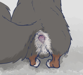 anus balls bodily_fluids cum cum_inside feral genital_fluids genitals male solo tail caninetrash_(artist)