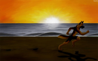 action_pose anthro beach detailed_background digitigrade male outside pose running seaside shadow sky solo sunset tail fluke aquatic canid canine canis domestic_dog german_shepherd herding_dog mammal pastoral_dog 16:10 2006 wallpaper widescreen
