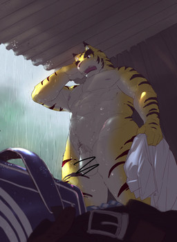 abs anthro belt brown_stripes clothing fur genitals male nude penis raining scribble_censorship shirt solo striped_body stripes topwear white_clothing white_shirt white_topwear yellow_body yellow_fur rotton morenatsu torahiko_ooshima felid feline mammal pantherine tiger 2021 absurd_res censored hi_res