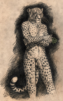 balls barbs blotch cheetah crossed_arms feline feline_penis male mammal money monochrome penis pose solo tagme
Rating: Explicit
Score: 0
User: Vinea
Date: March 12, 2014
