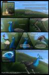 2012 avian beak bird blue_eyes comic day detailed_background digital_media_(artwork) english_text feral galliform grass hi_res outside peafowl phasianid plant sinistereternity sky text