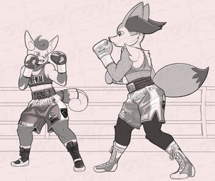 2_tails anthro boxing boxing_gloves bra clothing duo female fight fighting_ring handwear multi_tail sport sports_bra tail underwear dcheese nintendo pokemon braixen generation_6_pokemon meowstic meowstic_(female) pokemon_(species) 2026 absurd_res digital_media_(artwork) hi_res monochrome watermark