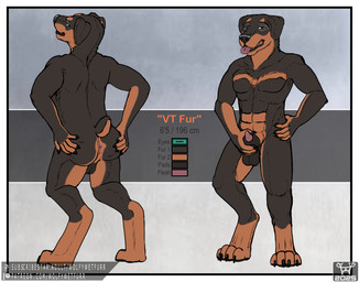animal_genitalia animal_penis anthro attitude balls black_body black_fur brown_body brown_fur butt canine_genitalia canine_penis characterdesign detail fingerless_(marking) fingerless_gloves_(marking) front_view fur genitals gloves_(marking) green_eyes leg_markings lipsticking makeup male markings multicolored_body multicolored_fur muscular nude penis pose presenting presenting_hindquarters rear_view socks_(marking) splash_art standing two_tone_body two_tone_fur wolfywetfurr_(artist) vtfur canid canine canis domestic_dog mammal mastiff molosser rottweiler digital_media_(artwork) model_sheet traditional_media_(artwork)
