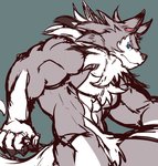 abs anthro anthrofied blue_eyes fur male multicolored_body multicolored_fur muscular muscular_anthro muscular_male pecs pokemorph simple_background solo two_tone_body two_tone_fur white_body white_fur istani nintendo pokemon canid canine generation_7_pokemon lycanroc mammal midday_lycanroc pokemon_(species) hi_res