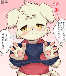 anthro blush bodily_fluids bottomless bottomless_male clothed clothing embarrassed heart_symbol male pawpads pink_background red_clothing red_topwear simple_background solo sweat text topwear topwear_only yellow_eyes young young_anthro young_male piporinton canid canine canis domestic_dog mammal 2026 hi_res japanese_description japanese_text translation_request