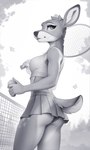 5_fingers anthro ball biped bottomwear butt butt_pose clothed clothing countershade_butt countershade_neck countershading crop_top eyebrows female fingers fully_clothed fully_clothed_anthro fully_clothed_female fur furgonomics holding_ball holding_object holding_tennis_racket looking_back low-angle_view markings midriff miniskirt mouth_closed net outside panties panty_peek panty_shot pose scut_tail shirt short_tail skirt slim solo spots spotted_body spotted_fur spotted_hips standing tail tennis_ball tennis_net tennis_racket topwear underwear upskirt yakovlev-vad any_(yakovlev-vad) deer mammal 2024 digital_media_(artwork) greyscale hi_res monochrome sketch