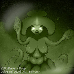 anthro beak belly big_breasts breasts female hooked_tentacles looking_at_viewer night_vision nipples nude shocked slightly_chubby solo tentacles text fluffyyutyrannus aquatic cephalopod coleoid colossal_squid decapodiform mollusk squid 1:1 absurd_res hi_res