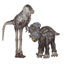 2025 4_toes ambiguous_gender beak biped bipedal_feral black_eyes blue_body blue_scales bone_frill brown_eyes ceratopsian dewclaw dinosaur duo feathered_dinosaur feathered_scalie feathers feet feral fluffy frill_(anatomy) front_view grey_body grey_feathers grey_scales head_crest head_frill hi_res horn long_legs looking_at_viewer mossa ornithischian prehistoric_species quadruped reptile scales scalie simple_background standing theropod toes triceratops tyrannosaurid tyrannosauroid tyrannosaurus tyrannosaurus_rex white_background yellow_beak young young_feral