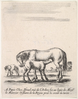 ambiguous_gender bodily_fluids cloud female feral fur genital_fluids group hooves mane outside peeing peeing_on_ground plant running standing suckling tail text tree trio urine urine_on_ground urine_stream young stefano_della_bella public_domain equid equine horse mammal 1642 17th_century absurd_res ancient_art french_text hi_res monochrome traditional_media_(artwork) mother_(lore) parent_(lore)