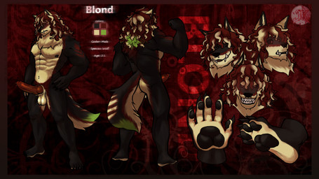 anthro barazoku claws curly_hair erection fangs genital_piercing genitals hair hybrid_genitalia knot knotted_penis looking_at_viewer male musclegut muscular muscular_anthro muscular_male nipples pecs penis penis_piercing piercing side_view solo standing teeth text toe_claws jaskeywolf mythology blond_(blond_the_werewolf) canid canine canis mammal mythological_canine mythological_creature werecanid werecanine werecreature werewolf wolf absurd_res english_text hi_res model_sheet